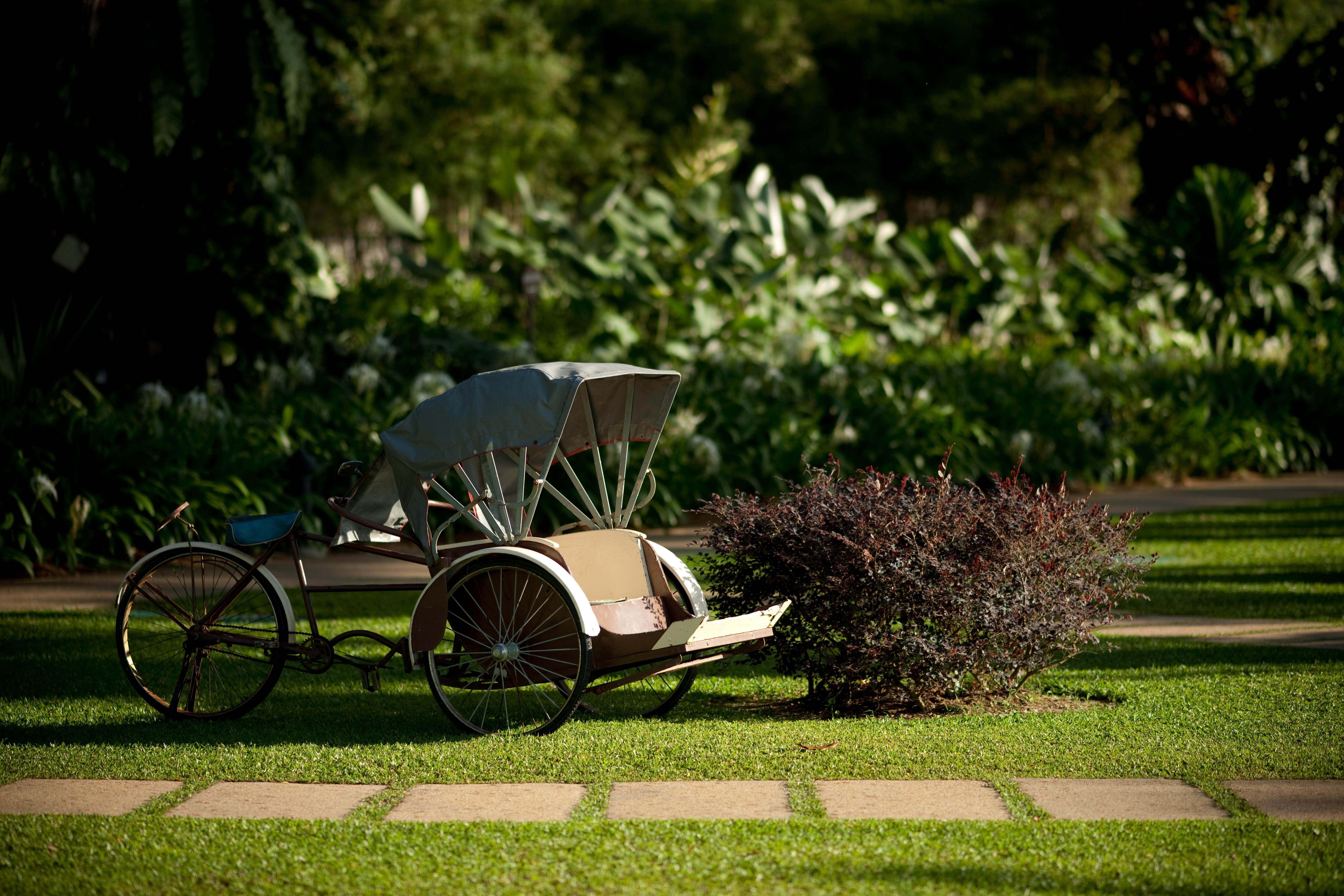 Shangri-La Rasa Sayang, Penang Batu Feringgi Exteriér fotografie Rickshaw in the gardens