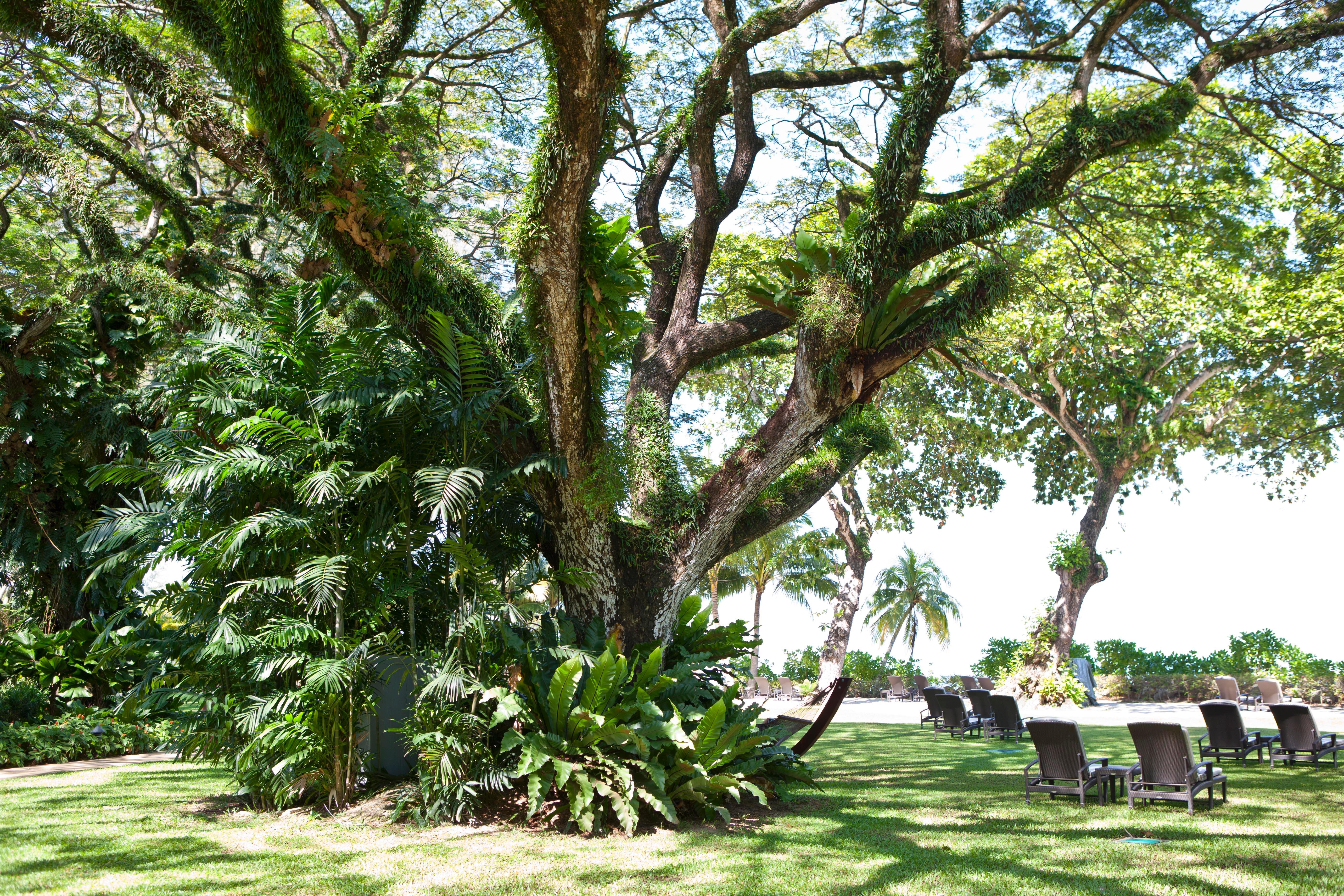 Shangri-La Rasa Sayang, Penang Batu Feringgi Exteriér fotografie The gardens of the hotel